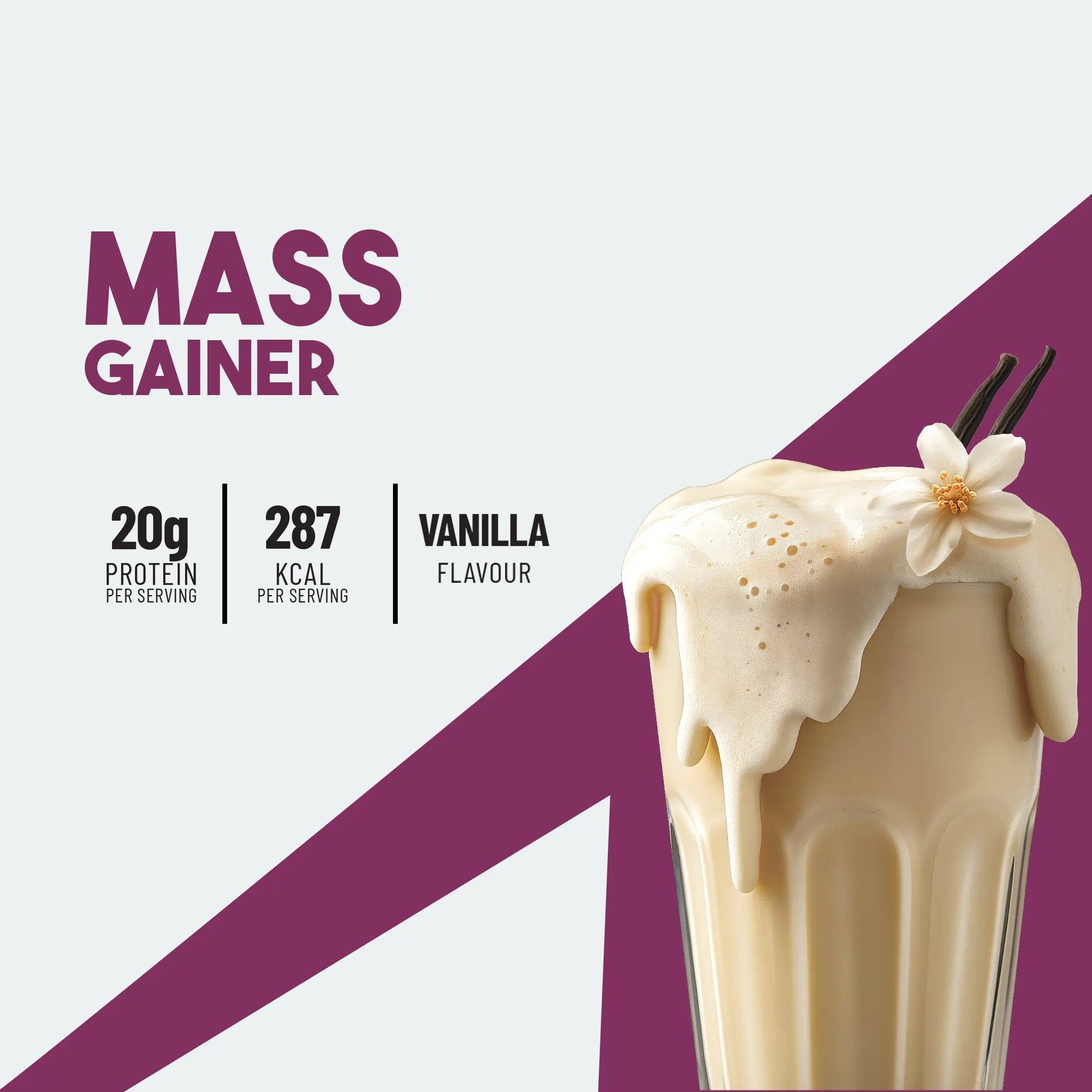 Mass Gainer Vanilla